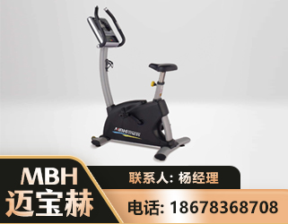 绵竹立式健身车
